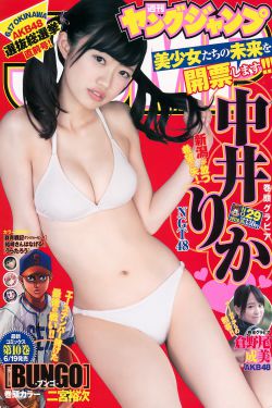 九部检查官