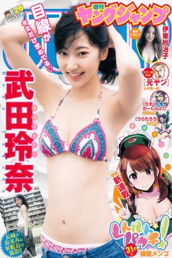 新上门女婿全集下载